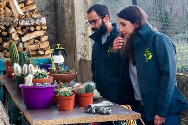 Un hombre y una mujer con chaqueta de trabajo revisan macetas de cactus y suculentas en un vivero